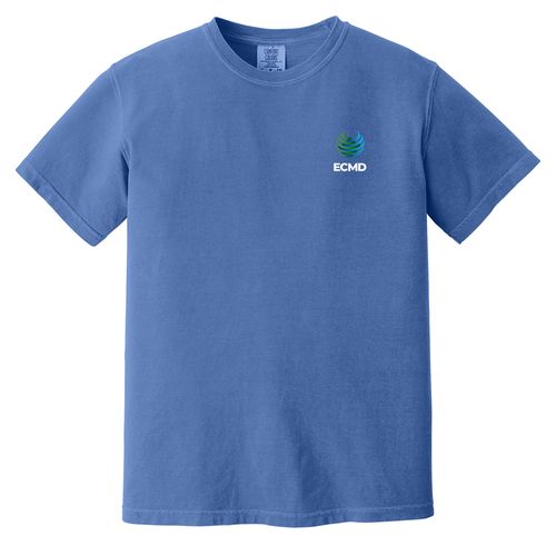 Comfort Colors Garment-Dyed Heavyweight T-Shirt image thumbnail
