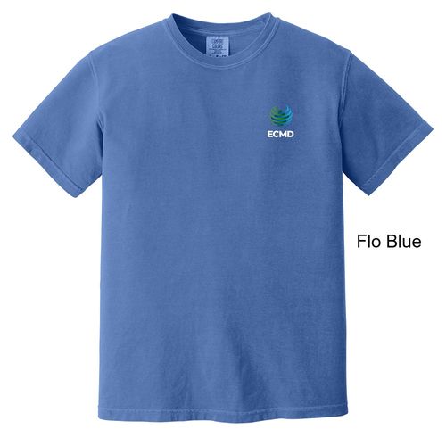 Comfort Colors Garment-Dyed Heavyweight T-Shirt image thumbnail