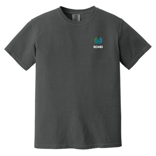 Comfort Colors Garment-Dyed Heavyweight T-Shirt image thumbnail