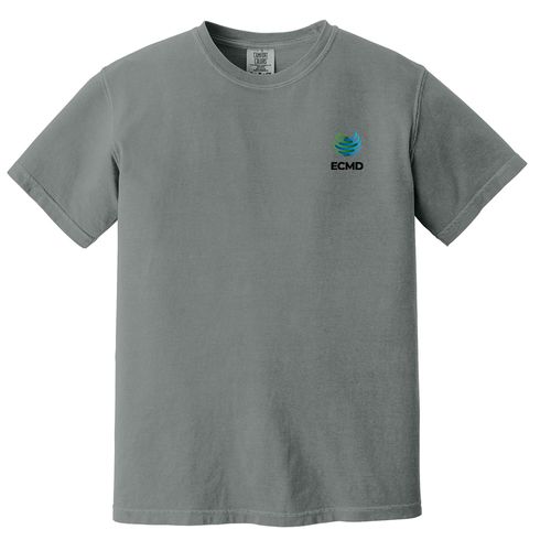 Comfort Colors Garment-Dyed Heavyweight T-Shirt image thumbnail