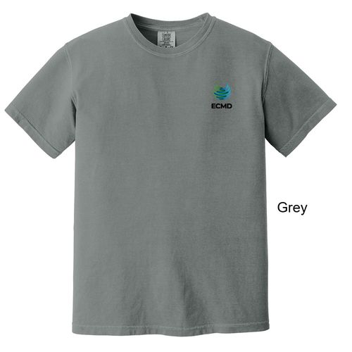 Comfort Colors Garment-Dyed Heavyweight T-Shirt image thumbnail