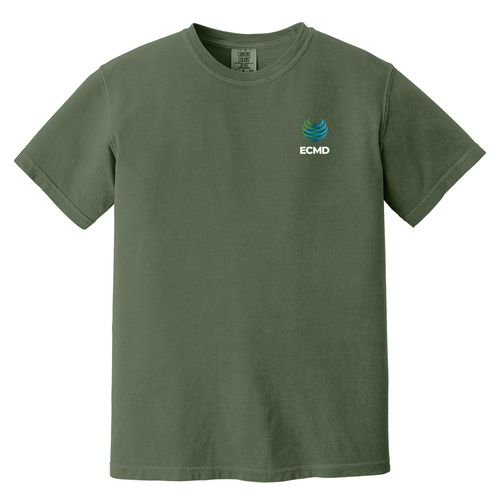 Comfort Colors Garment-Dyed Heavyweight T-Shirt image thumbnail