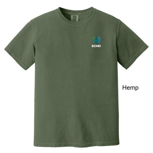 Comfort Colors Garment-Dyed Heavyweight T-Shirt image thumbnail