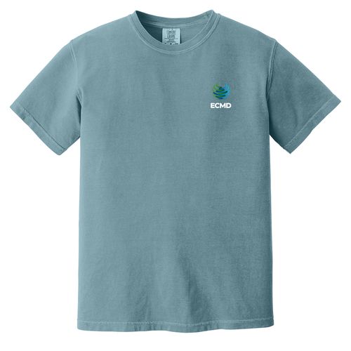 Comfort Colors Garment-Dyed Heavyweight T-Shirt image thumbnail