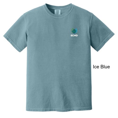 Comfort Colors Garment-Dyed Heavyweight T-Shirt image thumbnail