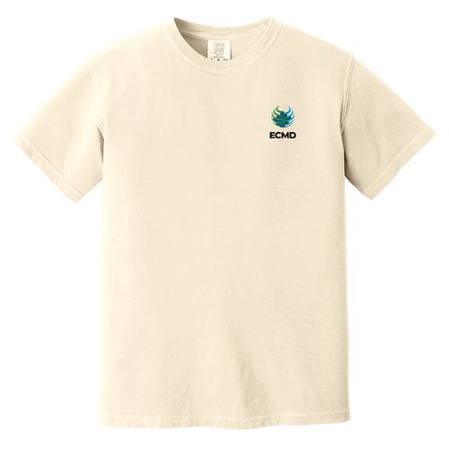 Comfort Colors Garment-Dyed Heavyweight T-Shirt image thumbnail