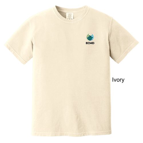 Comfort Colors Garment-Dyed Heavyweight T-Shirt image thumbnail