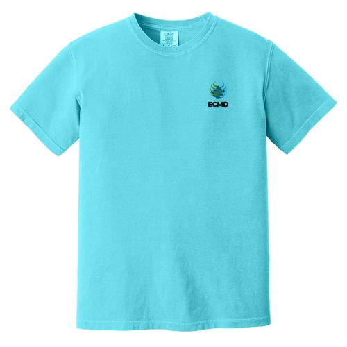 Comfort Colors Garment-Dyed Heavyweight T-Shirt image thumbnail