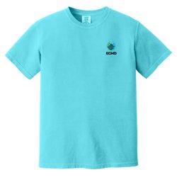 Image of Comfort Colors Garment-Dyed Heavyweight T-Shirt