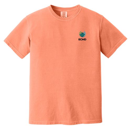 Comfort Colors Garment-Dyed Heavyweight T-Shirt image thumbnail
