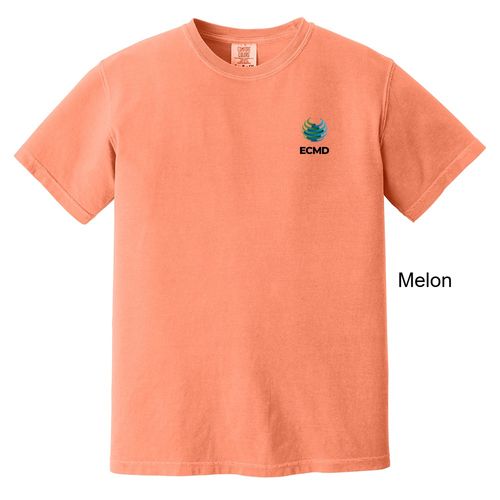 Comfort Colors Garment-Dyed Heavyweight T-Shirt image thumbnail