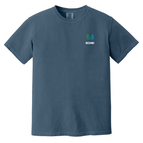 Comfort Colors Garment-Dyed Heavyweight T-Shirt image thumbnail