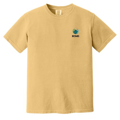 Comfort Colors Garment-Dyed Heavyweight T-Shirt image thumbnail