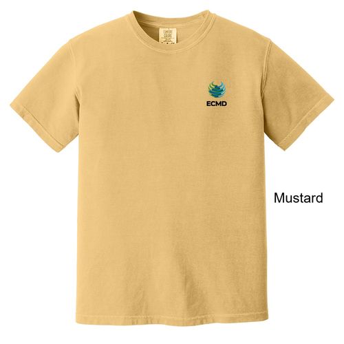 Comfort Colors Garment-Dyed Heavyweight T-Shirt image thumbnail