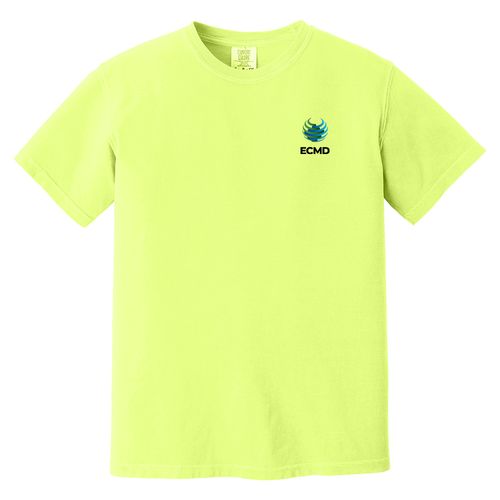 Comfort Colors Garment-Dyed Heavyweight T-Shirt image thumbnail