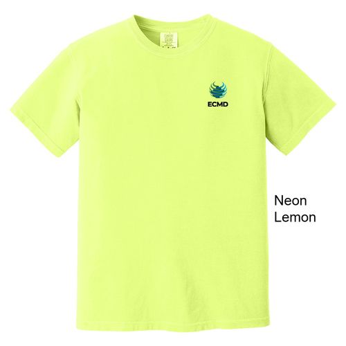 Comfort Colors Garment-Dyed Heavyweight T-Shirt image thumbnail