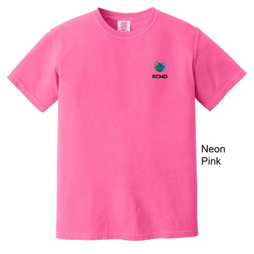 Comfort Colors Garment-Dyed Heavyweight T-Shirt image thumbnail