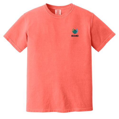 Comfort Colors Garment-Dyed Heavyweight T-Shirt image thumbnail