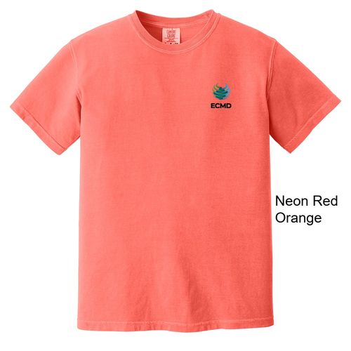 Comfort Colors Garment-Dyed Heavyweight T-Shirt image thumbnail