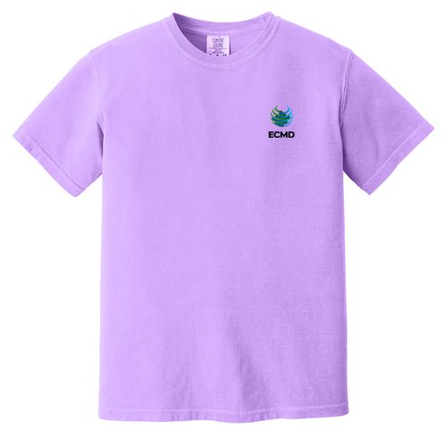 Comfort Colors Garment-Dyed Heavyweight T-Shirt image thumbnail