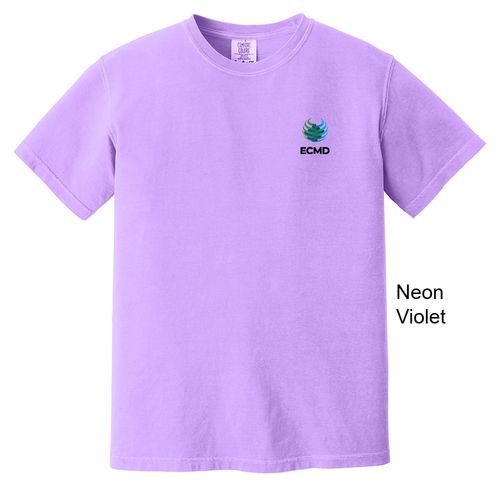 Comfort Colors Garment-Dyed Heavyweight T-Shirt image thumbnail