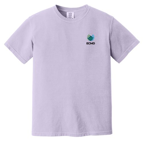 Comfort Colors Garment-Dyed Heavyweight T-Shirt image thumbnail