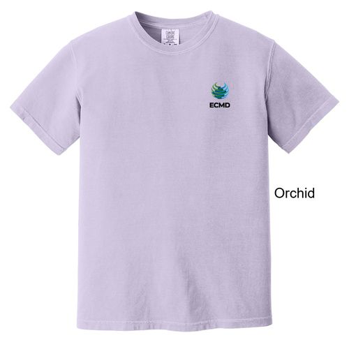 Comfort Colors Garment-Dyed Heavyweight T-Shirt image thumbnail