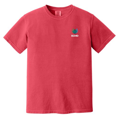 Comfort Colors Garment-Dyed Heavyweight T-Shirt image thumbnail