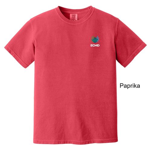 Comfort Colors Garment-Dyed Heavyweight T-Shirt image thumbnail