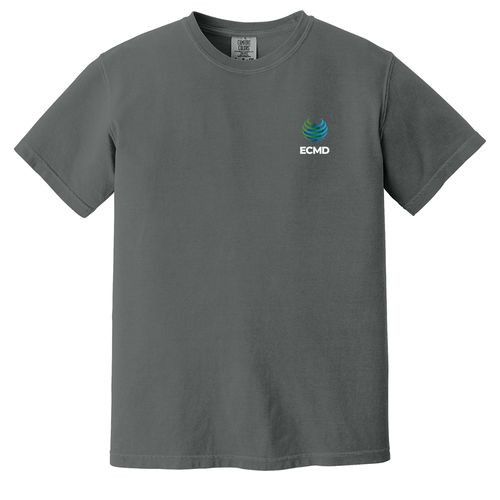 Comfort Colors Garment-Dyed Heavyweight T-Shirt image thumbnail