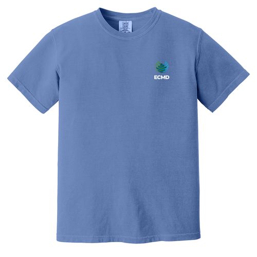 Comfort Colors Garment-Dyed Heavyweight T-Shirt image thumbnail