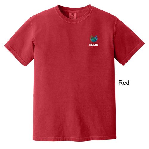 Comfort Colors Garment-Dyed Heavyweight T-Shirt image thumbnail