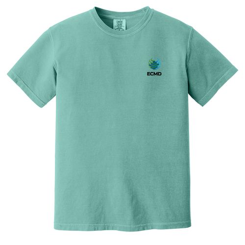 Comfort Colors Garment-Dyed Heavyweight T-Shirt image thumbnail