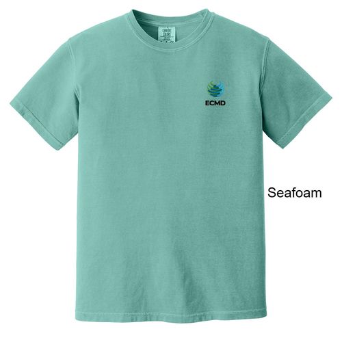 Comfort Colors Garment-Dyed Heavyweight T-Shirt image thumbnail