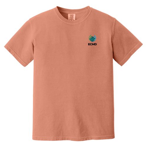 Comfort Colors Garment-Dyed Heavyweight T-Shirt image thumbnail