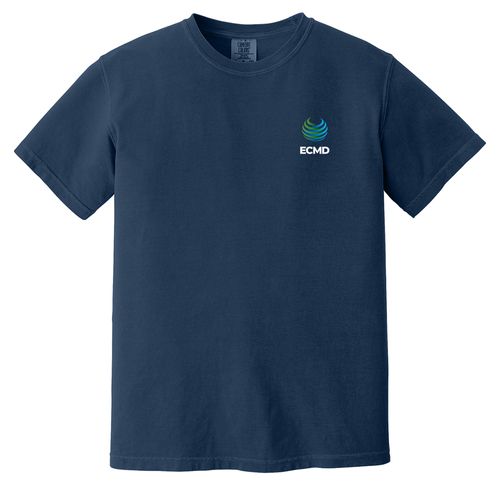 Comfort Colors Garment-Dyed Heavyweight T-Shirt image thumbnail