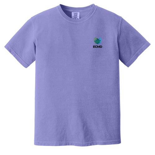 Comfort Colors Garment-Dyed Heavyweight T-Shirt image thumbnail