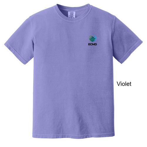 Comfort Colors Garment-Dyed Heavyweight T-Shirt image thumbnail