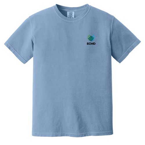 Comfort Colors Garment-Dyed Heavyweight T-Shirt image thumbnail