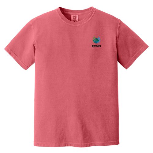 Comfort Colors Garment-Dyed Heavyweight T-Shirt image thumbnail