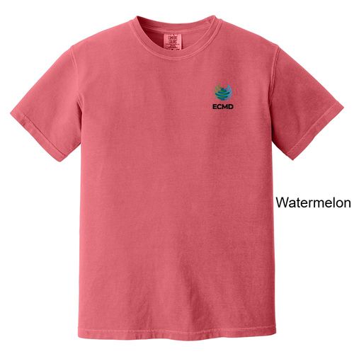 Comfort Colors Garment-Dyed Heavyweight T-Shirt image thumbnail