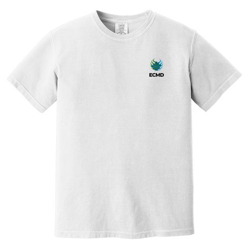Comfort Colors Garment-Dyed Heavyweight T-Shirt image thumbnail