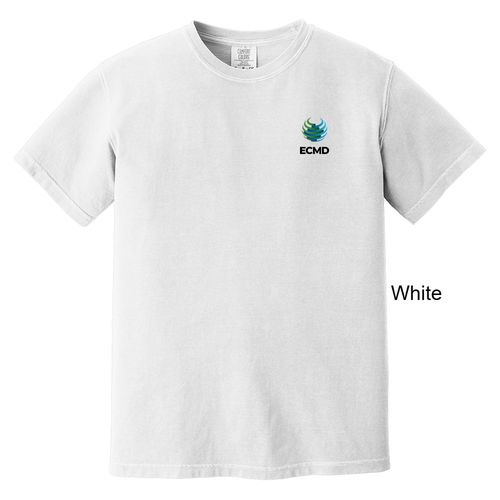 Comfort Colors Garment-Dyed Heavyweight T-Shirt image thumbnail