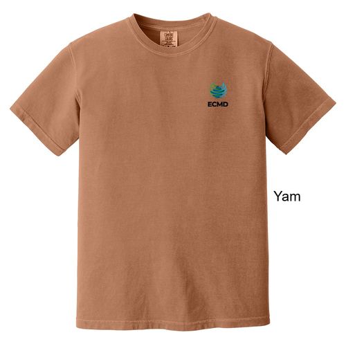 Comfort Colors Garment-Dyed Heavyweight T-Shirt image thumbnail