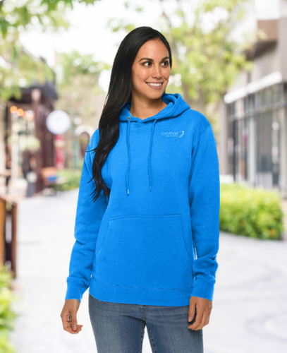 Image of Lane Seven Unisex Premium Pullover Hoodie