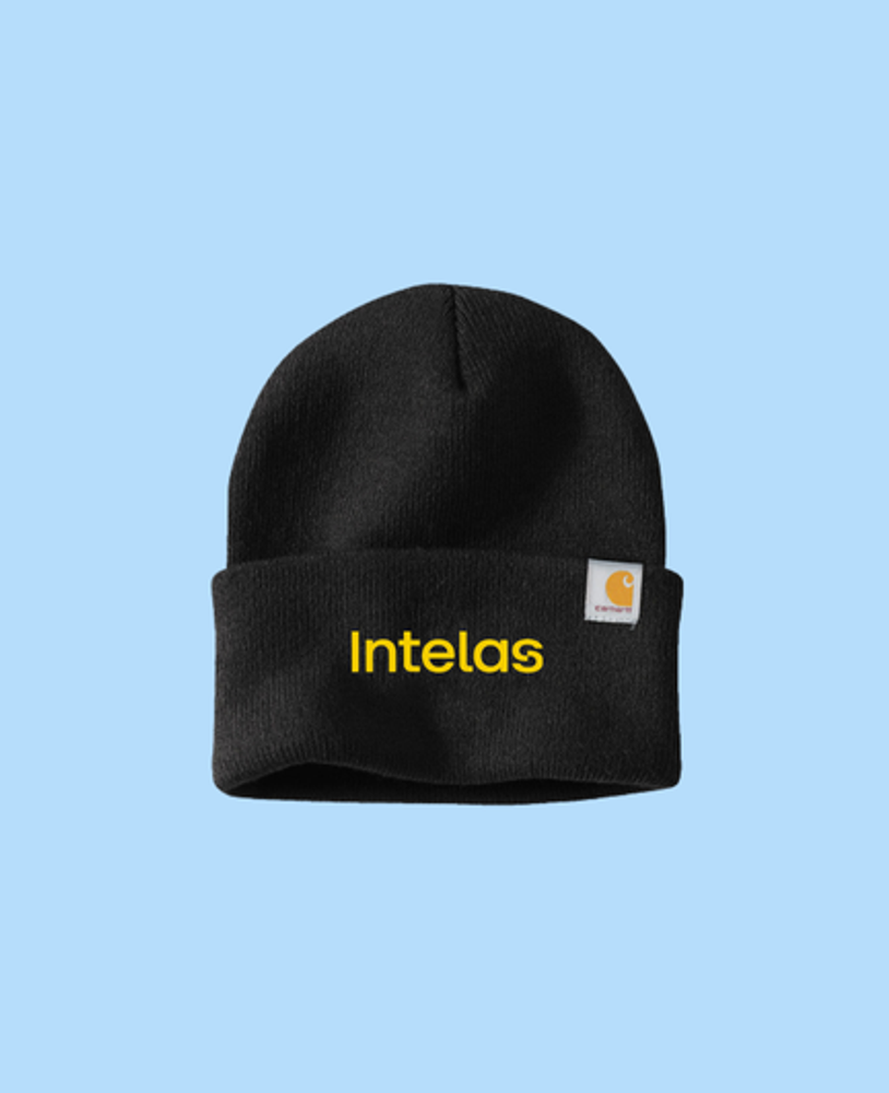 Carhartt® Watch Cap 2.0 primary image