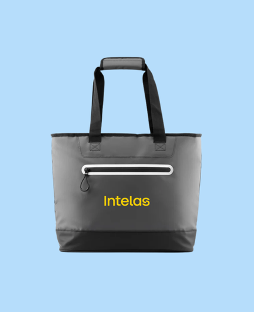 Heavy-Duty Friz Cooler Bag primary image