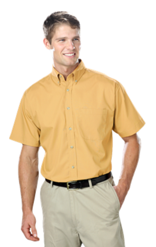 SS Button Down image thumbnail