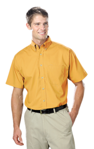 SS Button Down image thumbnail