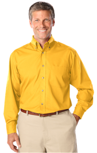 LS Button Down image thumbnail